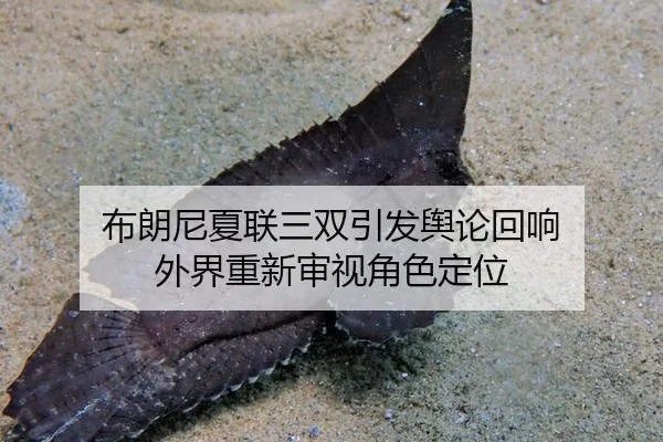 bu-lang-ni-xia-lian-san-shuang-yin-fa-yu-lun-hui-xiang-wai-jie-chong-xin-shen-shi-jiao-se-ding-wei-2-109.jpg